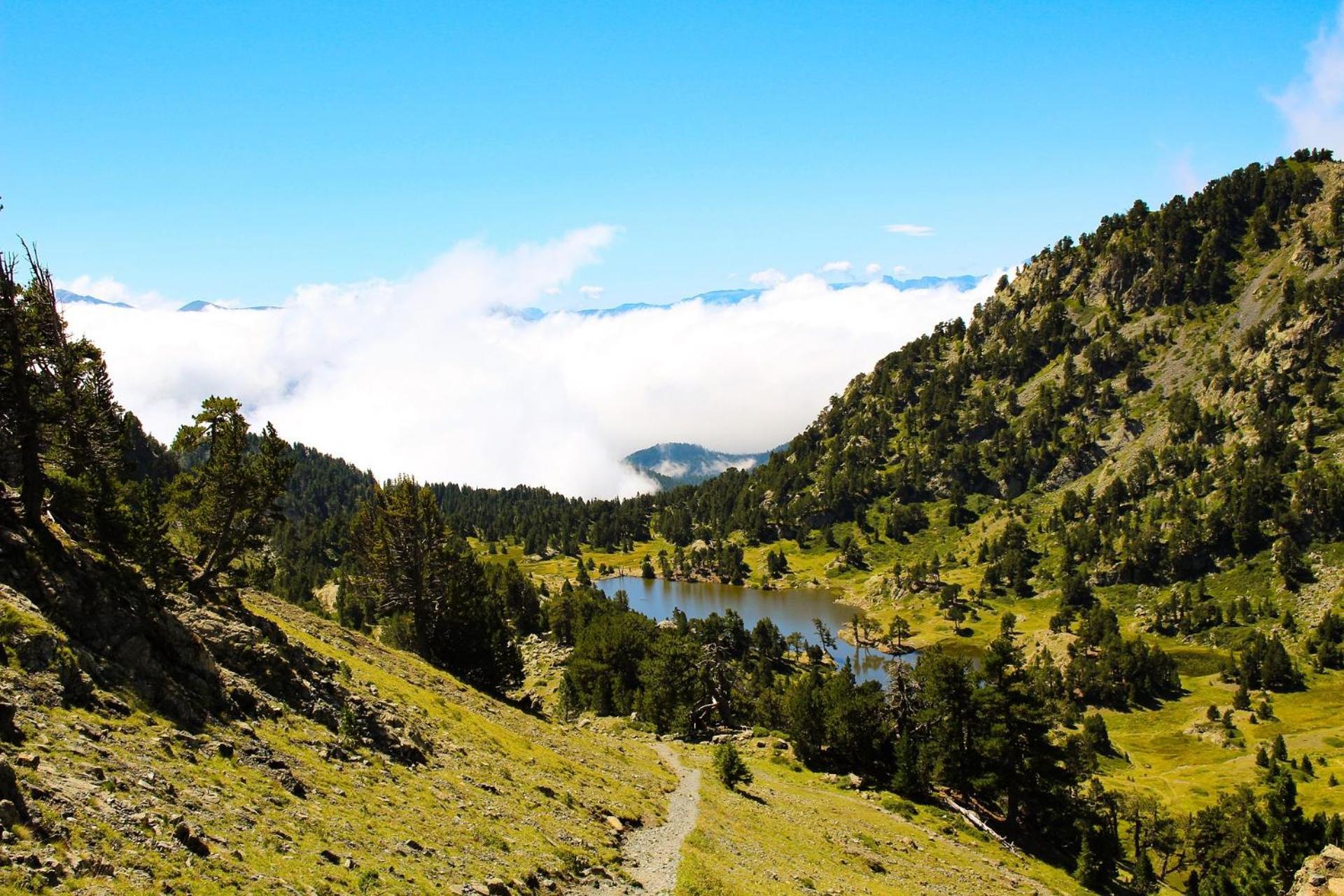 Le T2 Douillet D'Uriage - Residence Le Louvre - Cure Thermale Uriage- Proche Chamrousse - Jusqu'A 3 Personnes - Region Agreable En Toute Saison Vaulnaveys-le-Haut 外观 照片